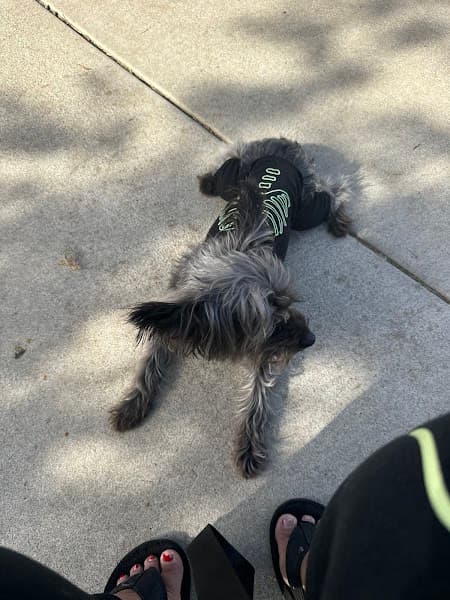 Petco Grooming image 4