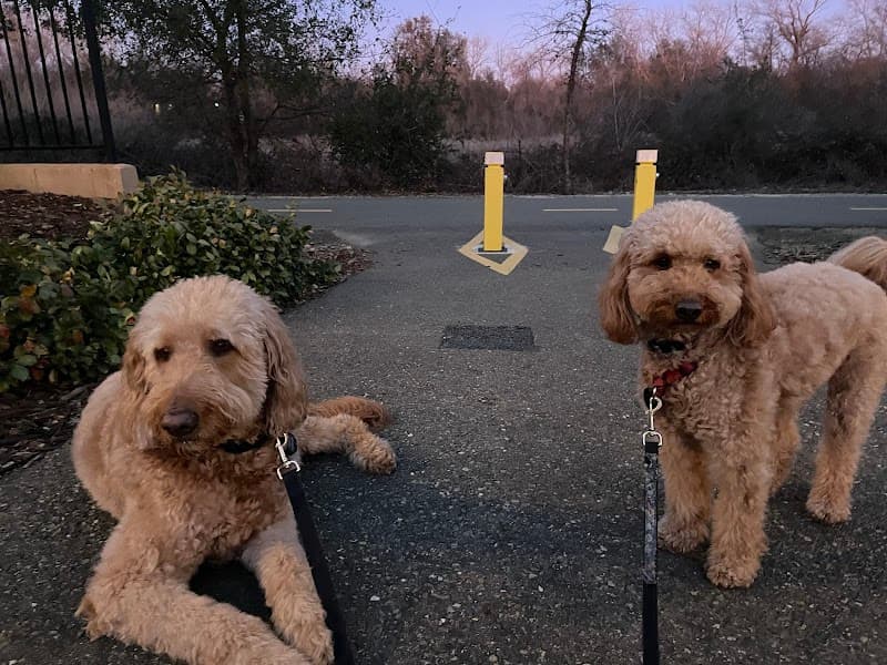 Granite Bay Paw Spa image 2