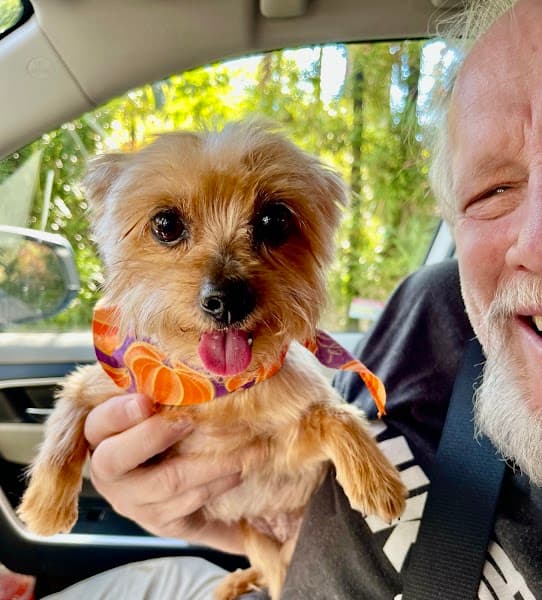 Granite Bay Paw Spa image 3