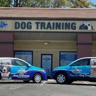 All Stage Canine Development - Pet Grooming in Citrus Heights image 1