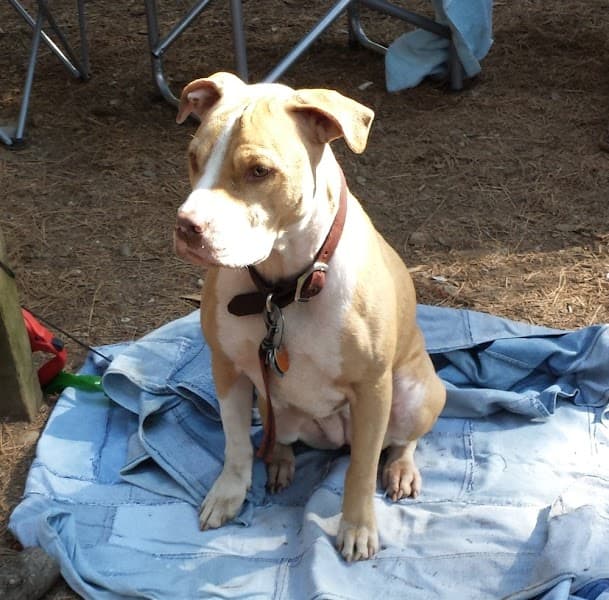 Grooming Room image 2