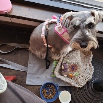 Grooming Room image 3