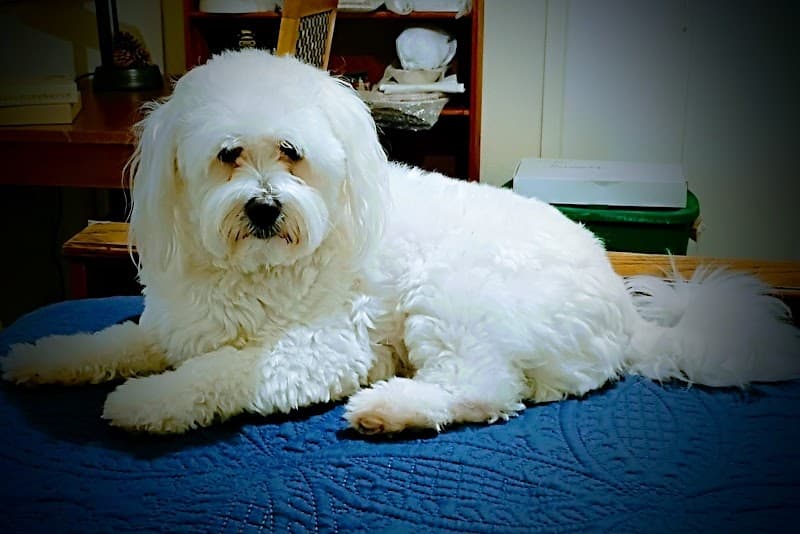 Grooming Room image 4