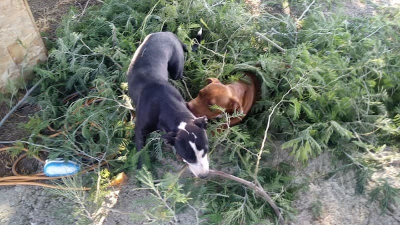 Grooming Room image 5