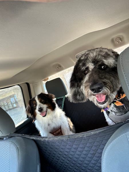 Petco Grooming image 2