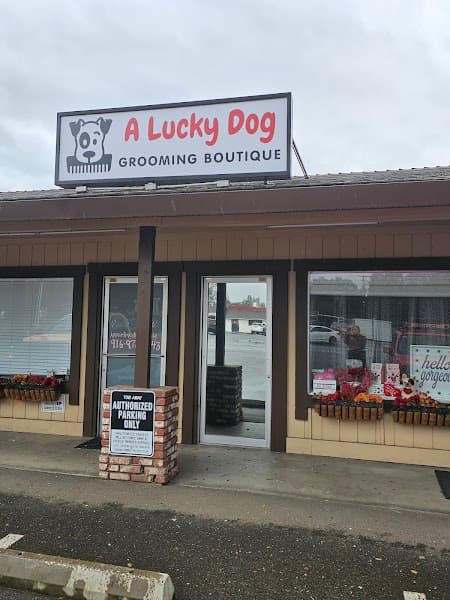 A Lucky Dog - Pet Grooming in Penryn image 1