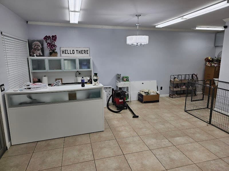 A Lucky Dog - Pet Grooming in Penryn image 2