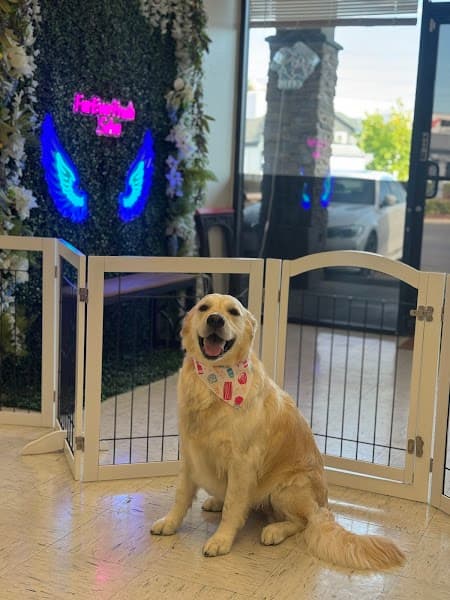 FurEver Fresh Pet salon image 1