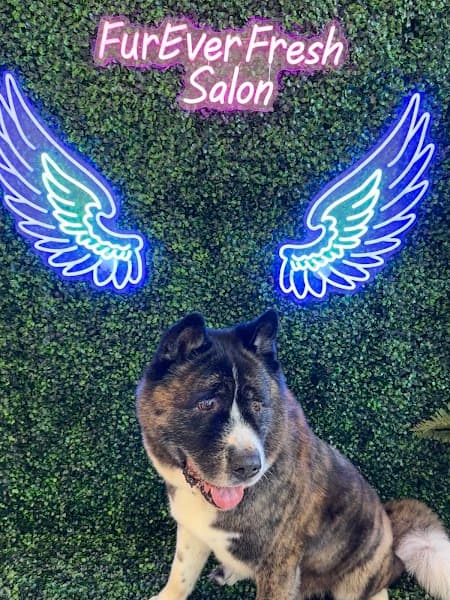 FurEver Fresh Pet salon image 3