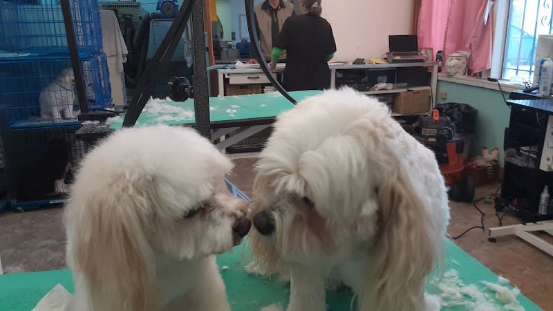 Fabulous Lanai Grooming Salon image 2