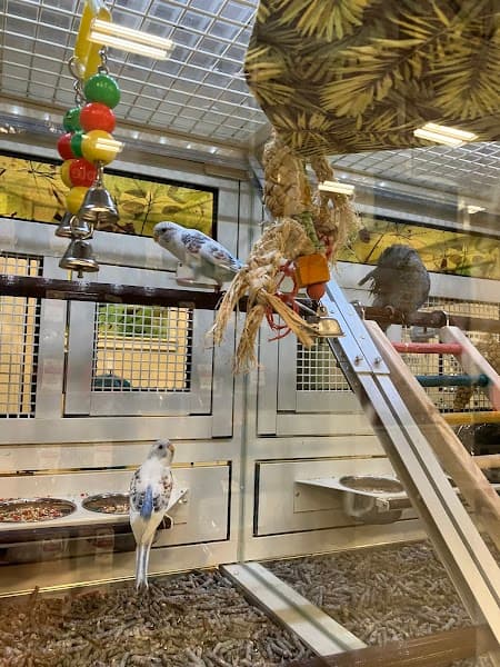 PetSmart Grooming image 3