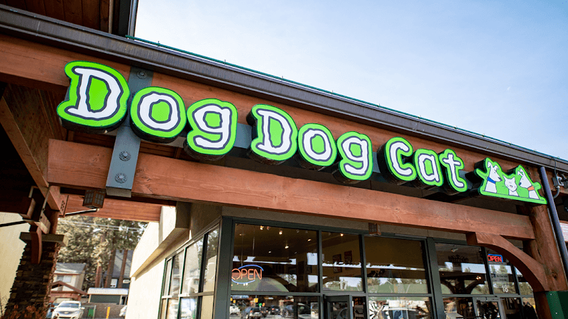Dog Dog Cat image 1