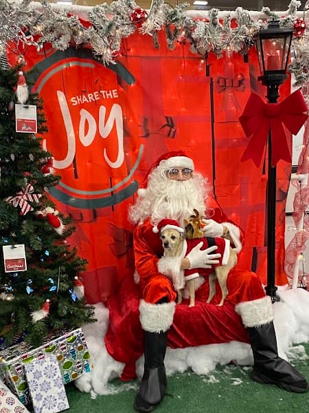 PetSmart Grooming image 4