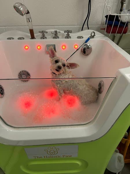 The Holistic Paw Pet Salon and Med-Spa image 4