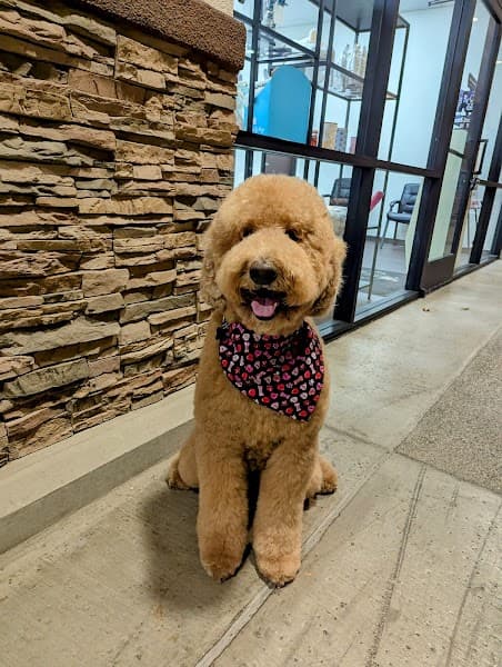 Posh Paws Grooming Salon Roseville image 1