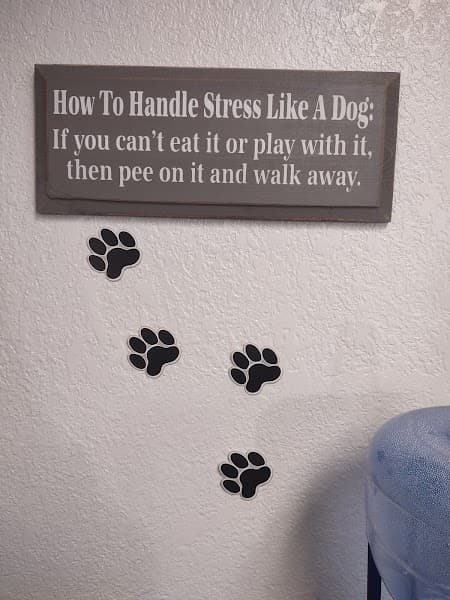 Cute & Cuddly Grooming image 5