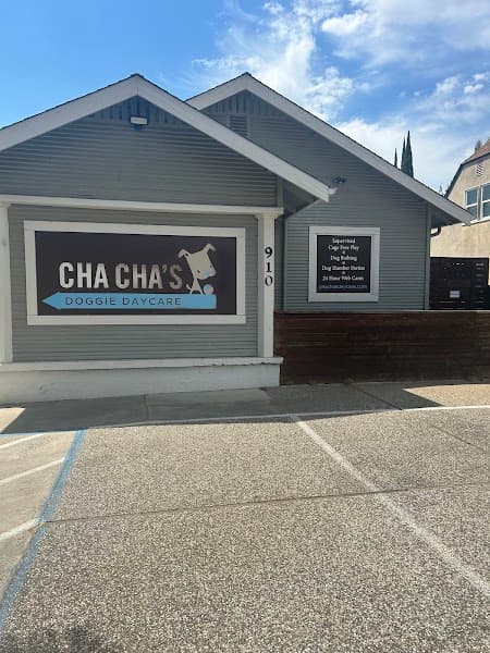 Cha Cha's Doggie Daycare image 5