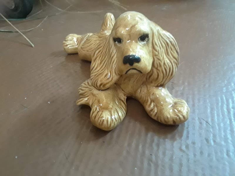 Amy's Pet Grooming image 1