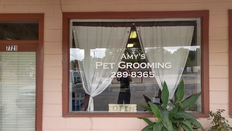 Amy's Pet Grooming image 4