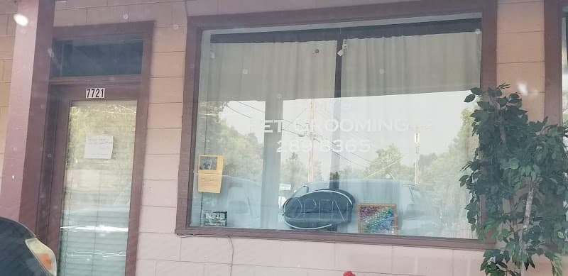 Amy's Pet Grooming image 5