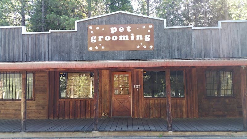 Georgetown Pet Grooming image 1