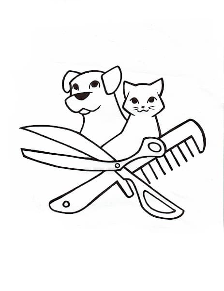 Georgetown Pet Grooming image 4