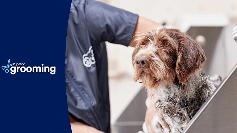 Petco Grooming image 1