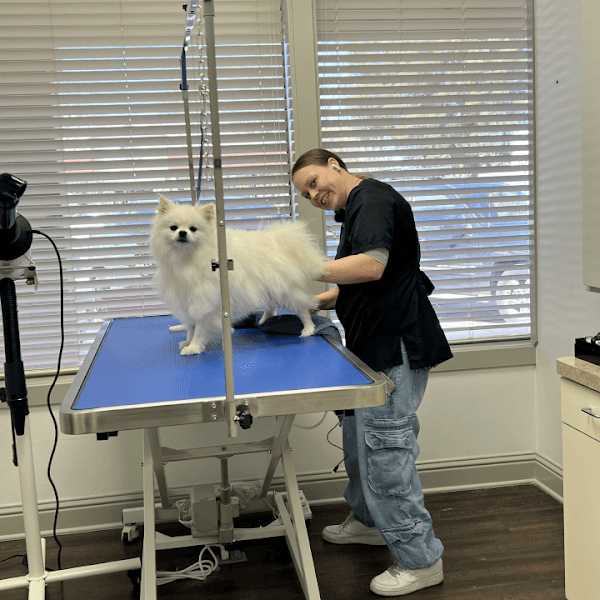 Good Dog Spa & Grooming Granite Bay image 1