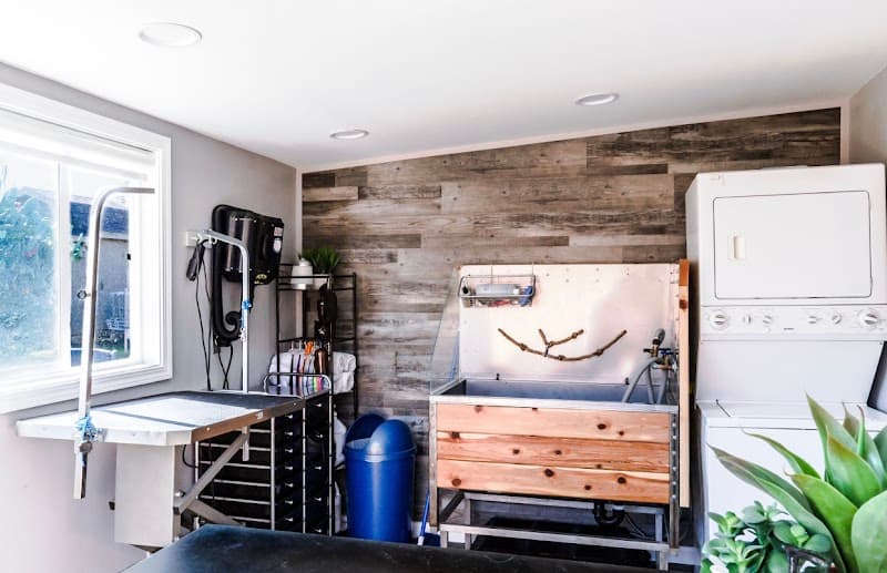 Tiny Tails Grooming Salon image 4