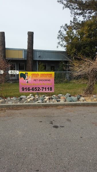 Top Notch Pet Grooming image 2