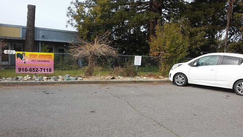 Top Notch Pet Grooming image 3