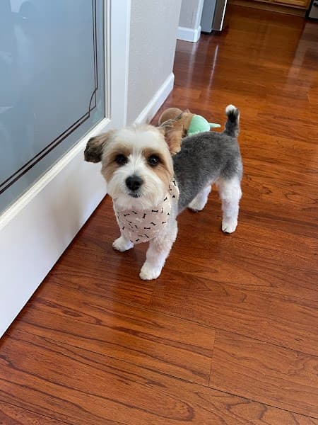 Fur-nando's Groom Room image 1