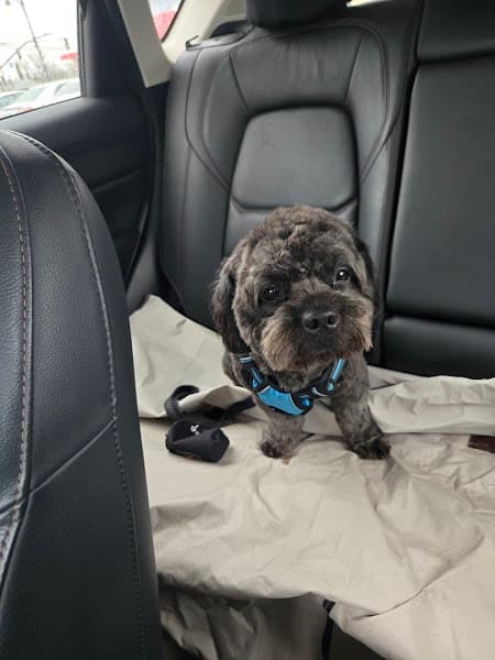 Fur-nando's Groom Room image 2