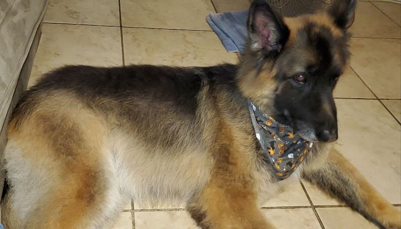 Fur-nando's Groom Room image 5