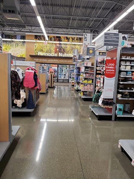PetSmart Grooming image 2