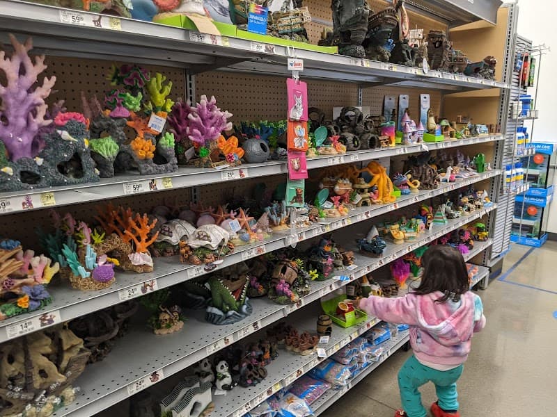 PetSmart Grooming image 4