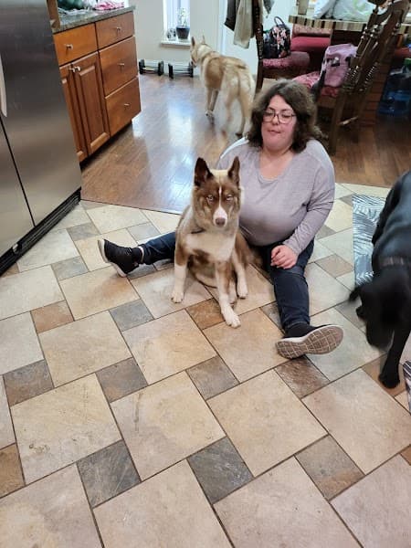 Bonnies Pet Grooming image 4