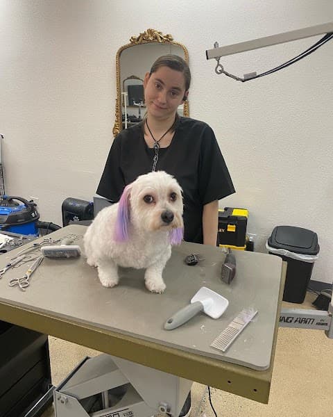 Wags to Riches Pet Grooming image 2