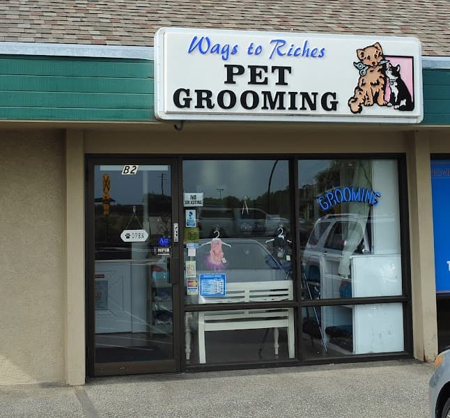 Wags to Riches Pet Grooming image 4