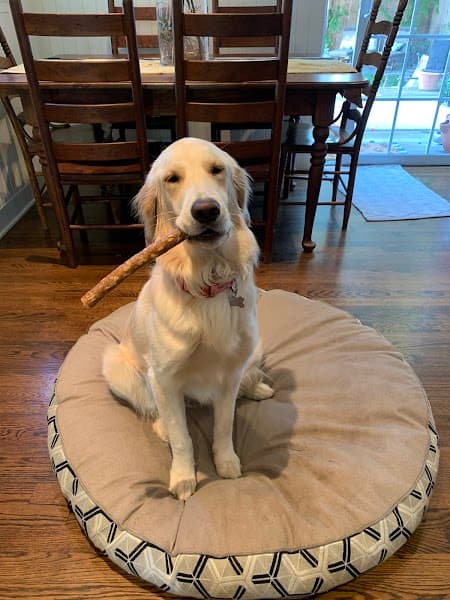 El Dorado Pet Club image 1