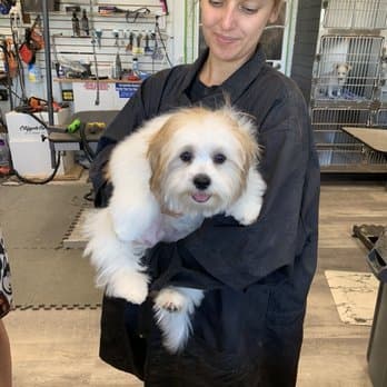 El Dorado Pet Club image 2