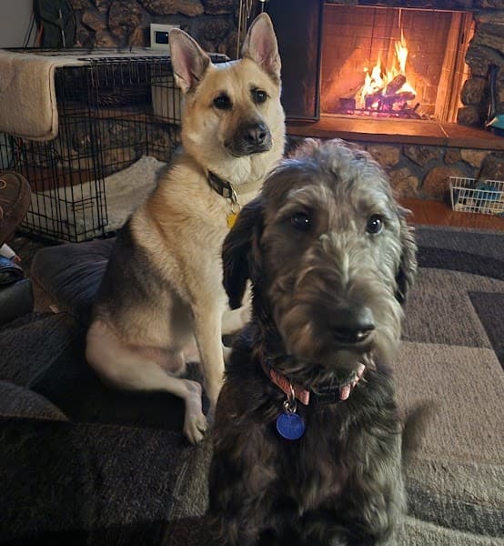 Vanity Fur Pet Spa image 4