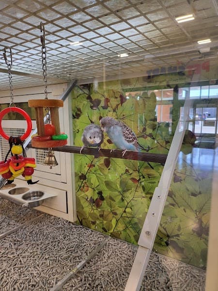 PetSmart Grooming image 5