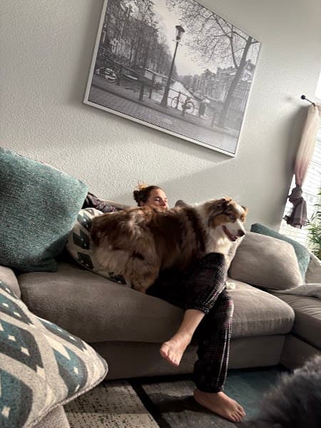 Petco Grooming image 3