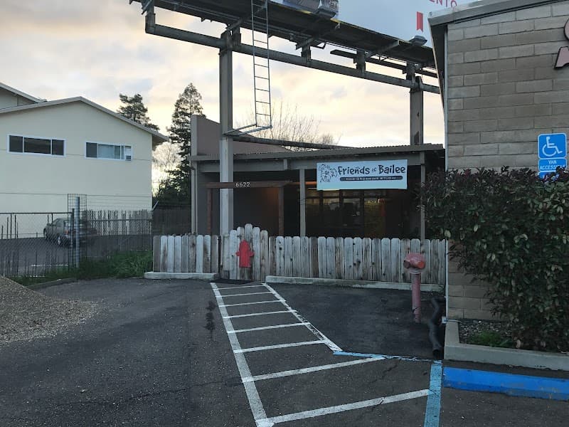 Friends of Bailee image 1