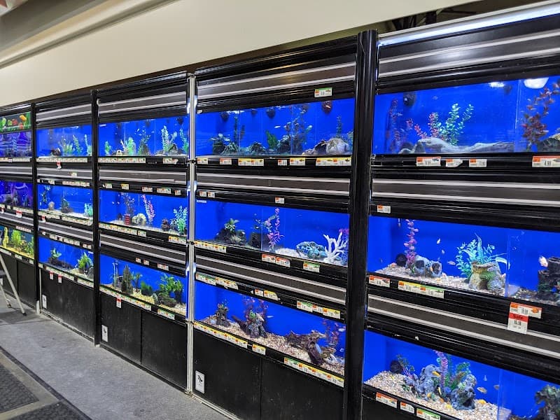 Pet Supplies Plus Woodland image 4