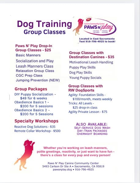 Paws N' Play image 3