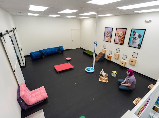 Paws N' Play image 5