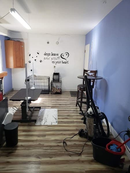 Rhonda Stanner Independent pet stylist image 4