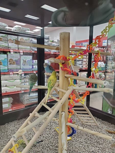 Petco Grooming image 3